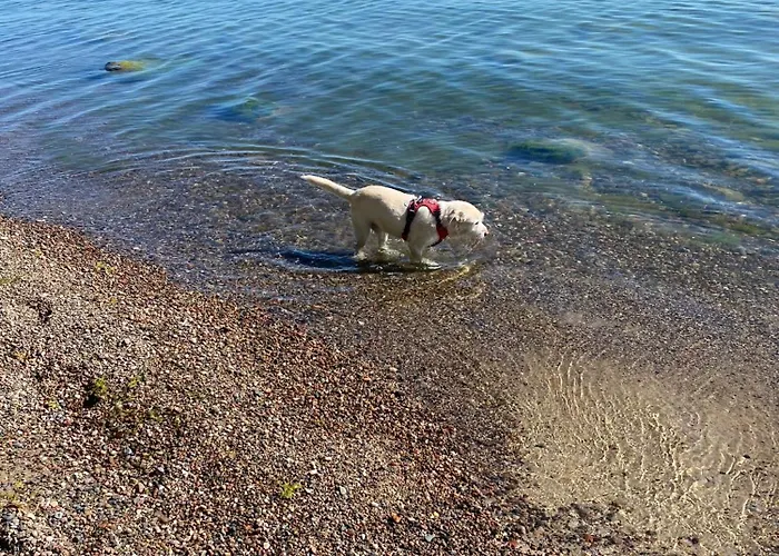 I - Z Parkingiem Apartament *